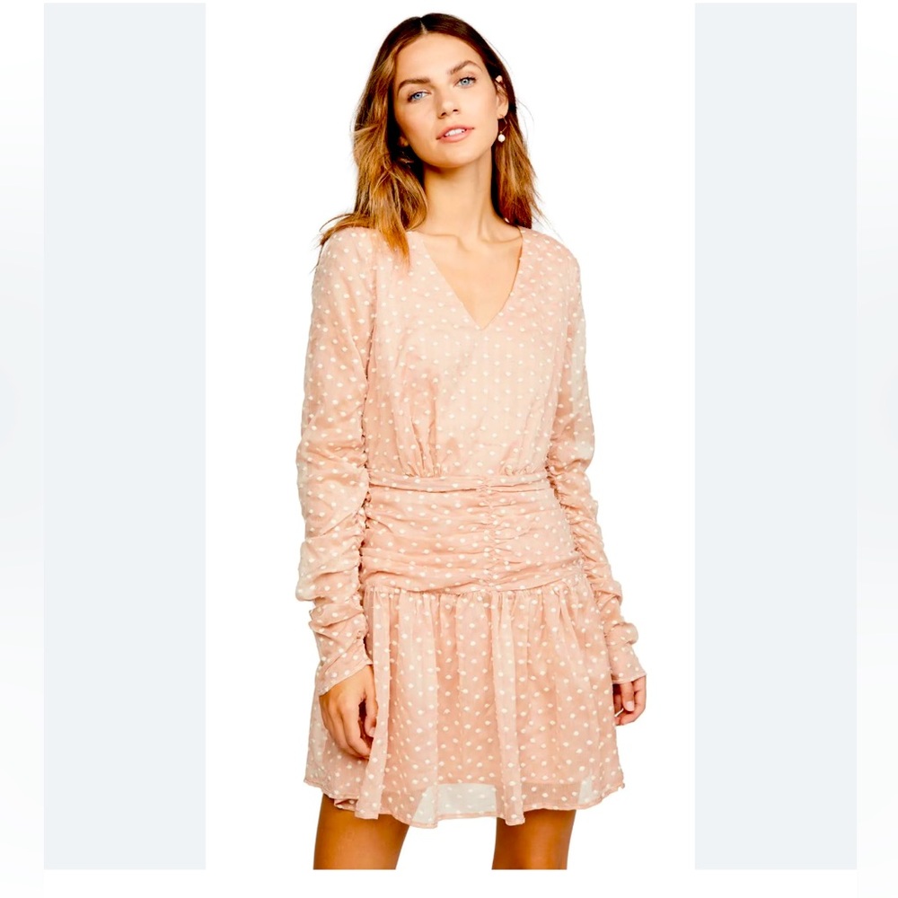 NWT Endless Rose Long Sleeve Polka Dot Mini Dress. Blush Pink. Sheer Mesh.Large
